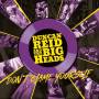 Duncan Reid / The Big Heads - Don't Blame Yourself