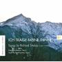 Peter Beenhouwer - Ich trage meine Minne-Songs