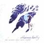Shamelady - The Winter Days Were Nights