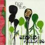 Stephen Malkmus - Face Truth