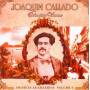 Sebastiao Vianna - Interpreta Joaquim Callado Mestres Brasileiros 6