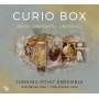 Turning Point Ensemble / Barnes / Krucker - Curio Box