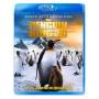 Sir David Attenborough - Penguin King 3d David Attenborough [US-Version, Regio 1/A]