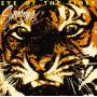 Survivor - Eye Of The Tiger