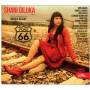 Shani Diluka - Road 66