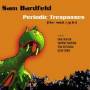 Sam Bardfeld - Periodic Tresspasses