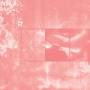 Pinkcourtesyphone - Taking Into Account Only A Portion Of Your Emotions