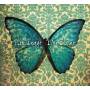 Kim Beggs - Blue Bones