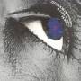 Horslips - Book Of Invasioins: A Celtic Symphony