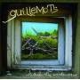 Guillemots - Through The Window Pane
