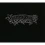 Dragon Ash - Best Of:with Changes 1