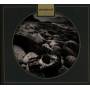 Usurpress - Interregnum
