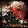 Ruin Lust - Dissimulant (Ltd. Black LP)