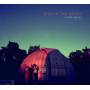 Still In The Woods - Flying Waves