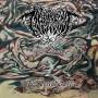 Mvltifission - Decomposition In The Painful Metamorphosis