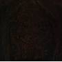 Impetuous Ritual - Blight Upon Martyred Sentience