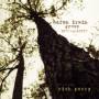 Aaron Group Irwin - Into The Light