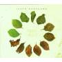 Isato Nakagawa - Tree Circle