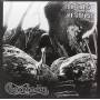 Gurnemanz - No Rays Of Noise