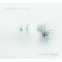 Thierry Maillard - Une Larme De Pluie