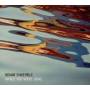 Sonar Ensemble - While You Were Gone