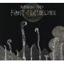 Kikagaku Moyo - Forest Of Lost Children