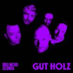 Drei Meter Feldweg - Gut Holz (180Gr./Col.Vinyl)
