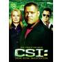 Csi - Csi: Tenth Season [US-Version, Regio 1]