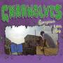 Gnarwolves - European Tour 2014 DVD [Regio free (0)]