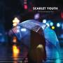 Scarlet Youth - The Everchanging View