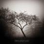 Sorrow - Dreamstone