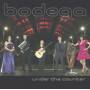 Bodega - Under The Counter