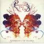 Persuing The End - Symmetry Of Scorn