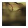 Isnaj Dui - Abstracts On Solitude