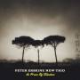Peter New Trio Erskine - In Praise Of Shadows