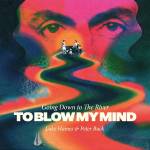 Luke Haines / Peter Buck - Going Down To The River...To Blow My Mind