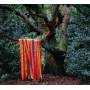 James Holden / the Animal Spirits - The Animal Spirits