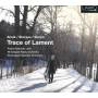Sandvik / Klug / Skalstad / Norw.RSO / Norw.Kammerorch. - Trace of Lament