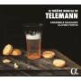Olivier Fortin / Ensemble Masques - Le Theatre musical de Telemann