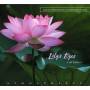 Carisma - Lilys Eyes