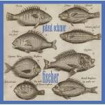 Patent Ochsner - FISCHER