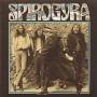 Spirogyra - St Radiguns