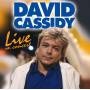 David Cassidy - Live In Concert