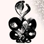 Bardo Pond - VOLUME 4 & 5 (Black Vinyl 2LP)