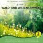 Naturklang - Sanfte Wald-und Wiesenstimmung