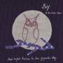 Boy & The Echo Choir - And Night Arrives In One Gigantic Step