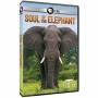 Nature: Soul Of The Elephant - Nature: Soul Of The Elephant [US-Version, Regio 1]
