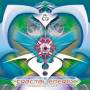 V / a - Fractal Energy