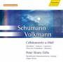P. Bruns / J. Bruns - Cellokonzerte *s