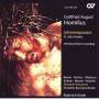 Kreile / Reiner / Dresdner Kreuzchor / + - Johannespassion